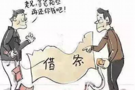 莘县企业清欠服务